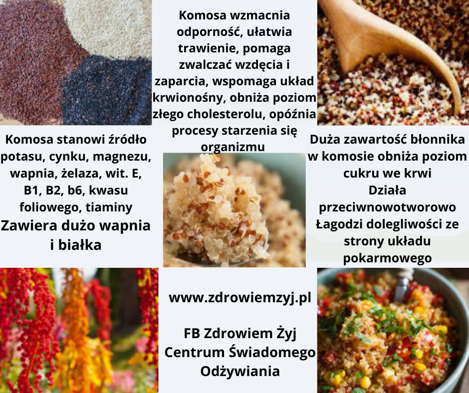 Read more about the article Komosa ryżowa Quinoa